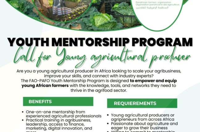 FAO-PAFO Youth Mentorship Program