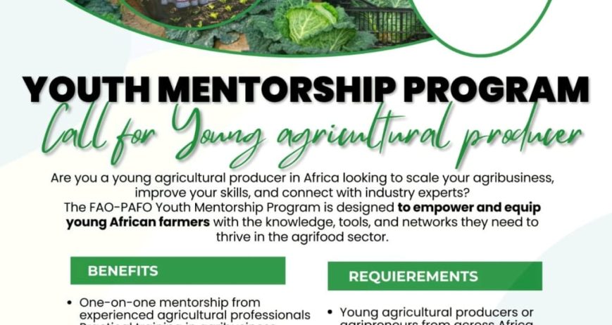 FAO-PAFO Youth Mentorship Program