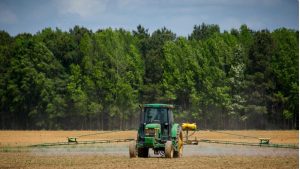 Food systems are the missing ingredient from the COP30 menu