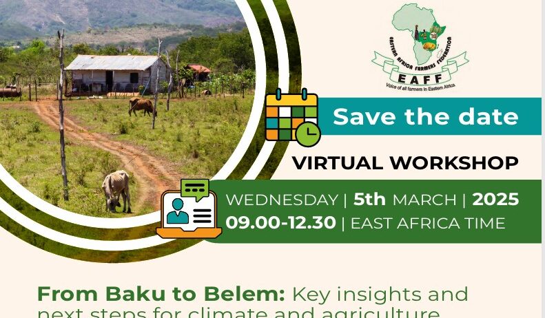 AICCRA and EAFF: Key Insights and Next Steps for Climate and Agriculture