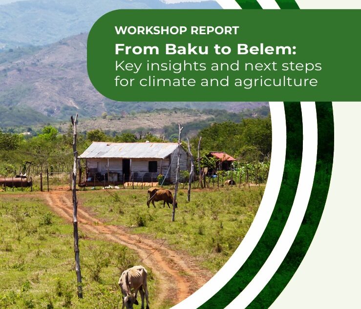 "EAFF Participates in Global Workshop: From Baku to Belem – Key Insights and Next Steps for Climate and Agriculture"
