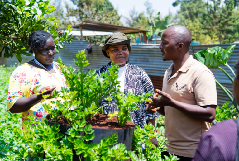 We enhance the capabilities of our member platforms through training, partnerships, and establishing linkages with private sector entities. This includes access to essential services such as financing, insurance, and agricultural inputs and outputs.